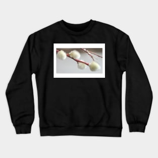 Pussy Willow Greeting Card Crewneck Sweatshirt